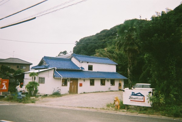 alt text